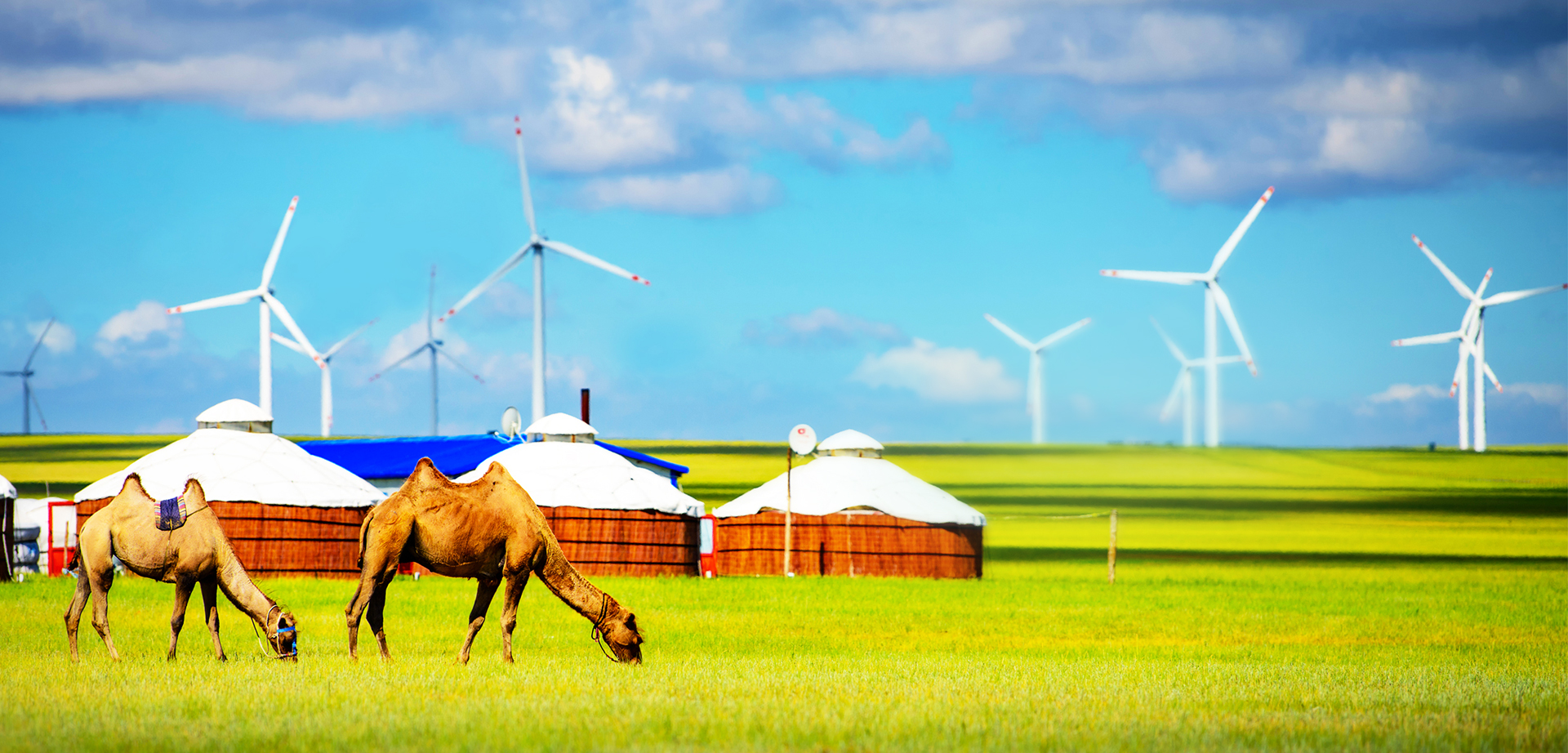 金年会·(中国)_金年会