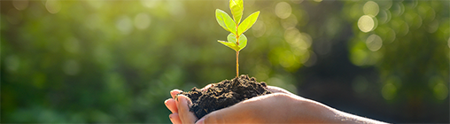 金年会·(中国)_金年会